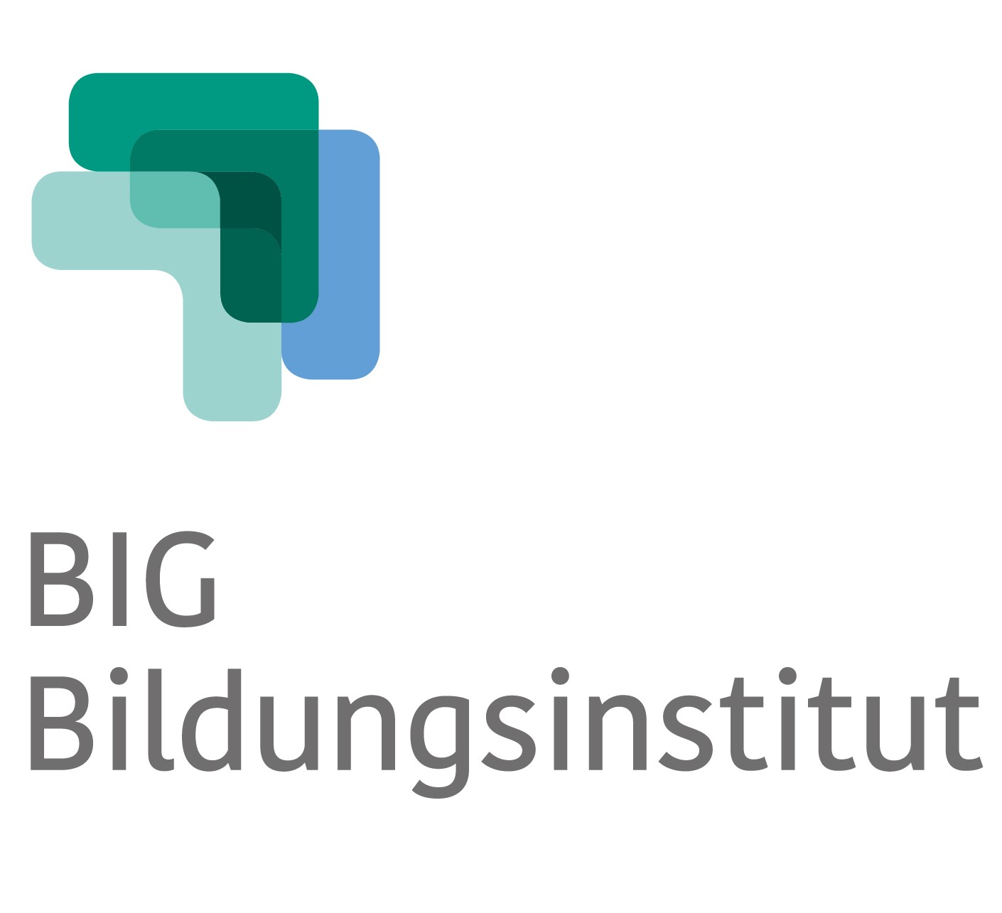 RK-Logo-RGB_BIG_Bildungsinstitut_verkleinert